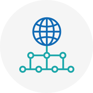 Visue repésentant un globe et des réseau correspondant au service de connexion du RISQ