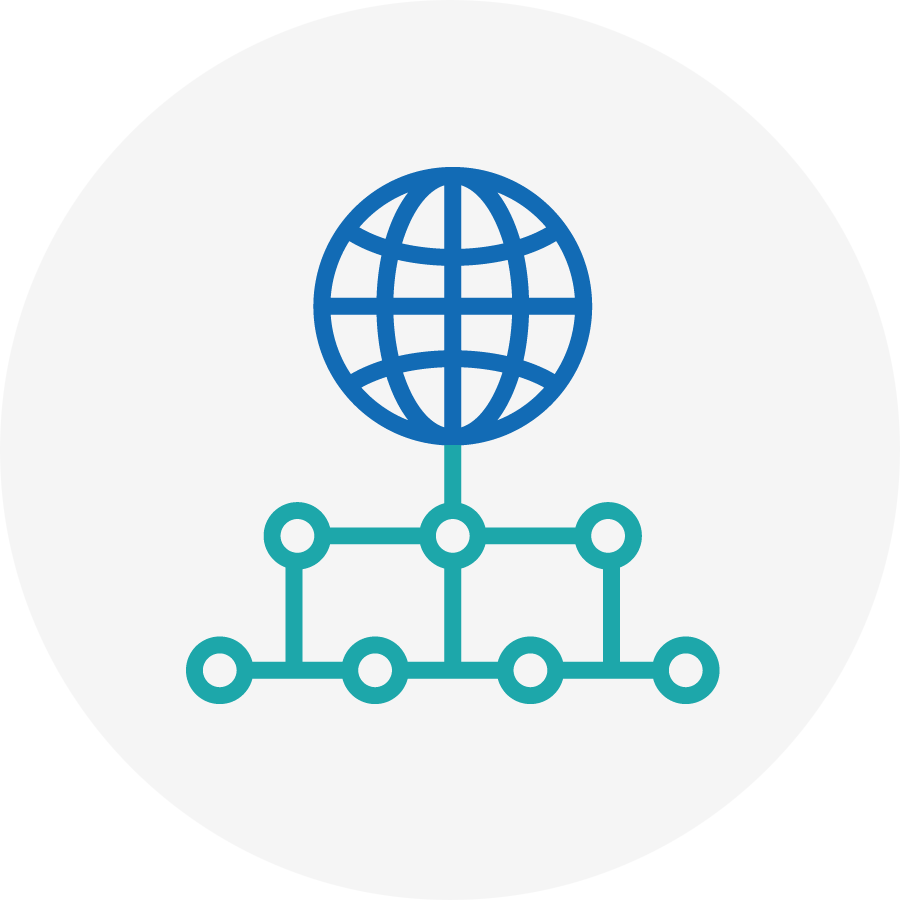 Visue repésentant un globe et des réseau correspondant au service de connexion du RISQ
